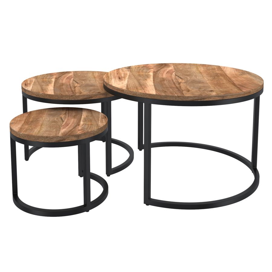 Darsh 3pc Coffee Table